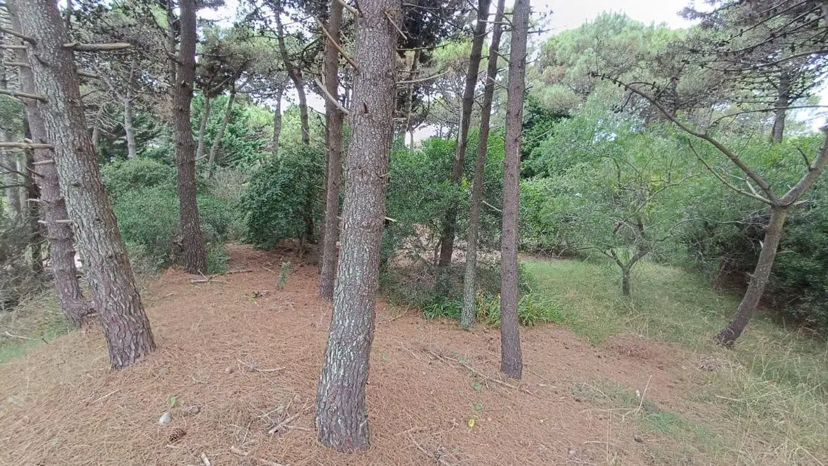 VENTA LOTE PINAMAR 5