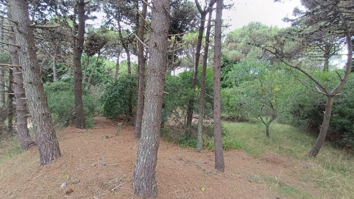 VENTA LOTE PINAMAR 4