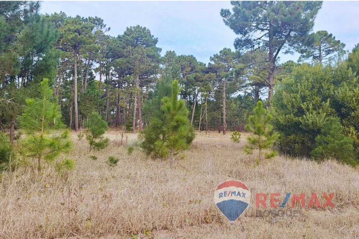 Lote Venta Pinamar Barrio Bosques Norte Planos Mar 2