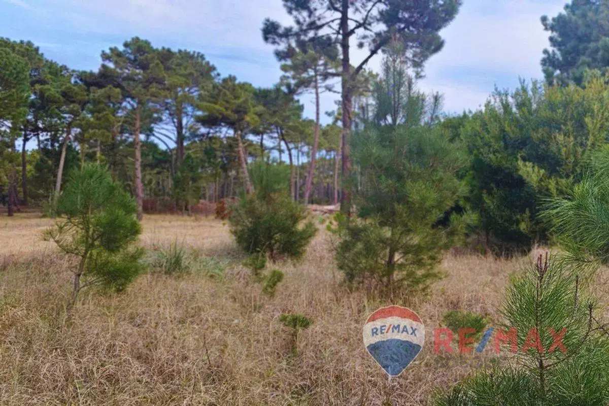 Lote Venta Pinamar Barrio Bosques Norte Planos Mar 3