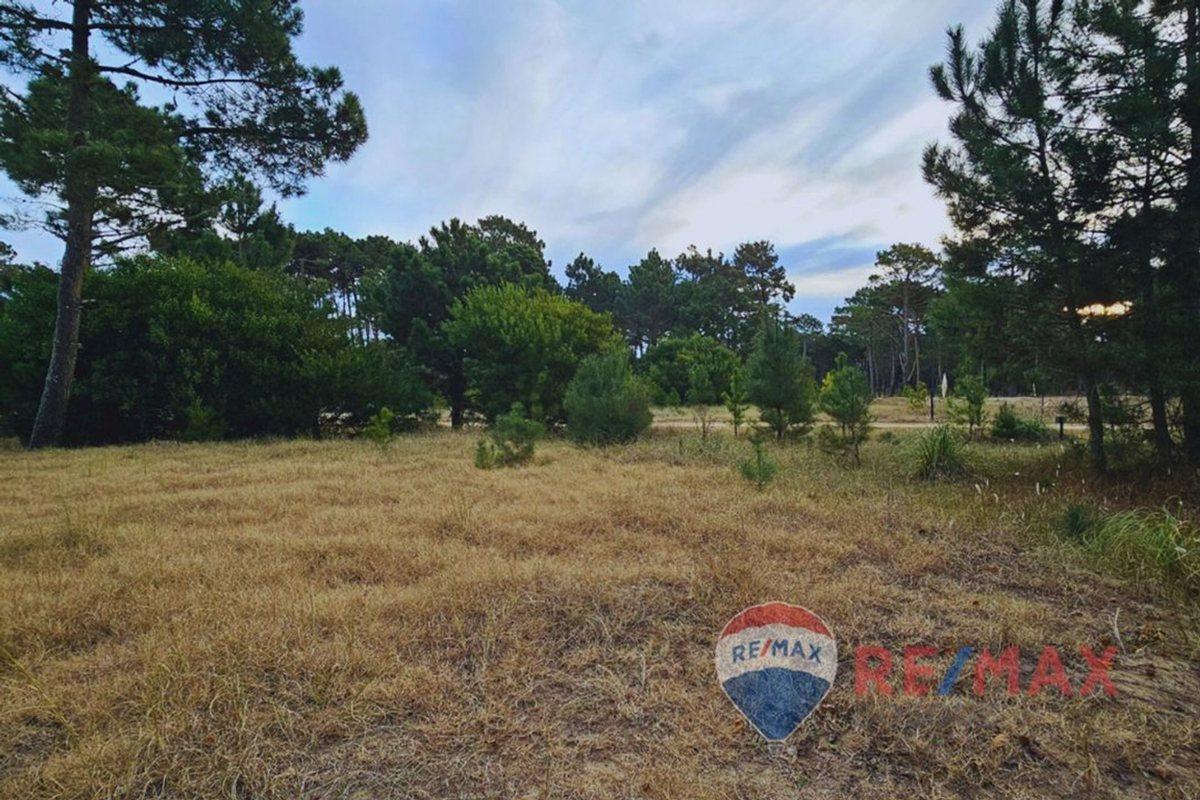 Lote Venta Pinamar Barrio Bosques Norte Planos Mar