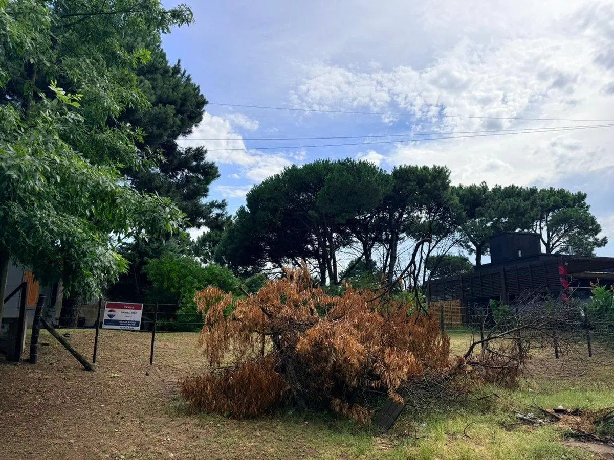 Lote en VENTA en OSTENDE 3