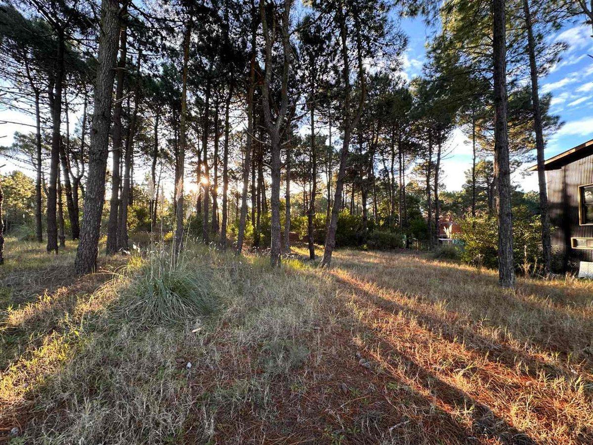 VENTA LOTE PINAMAR NORTE