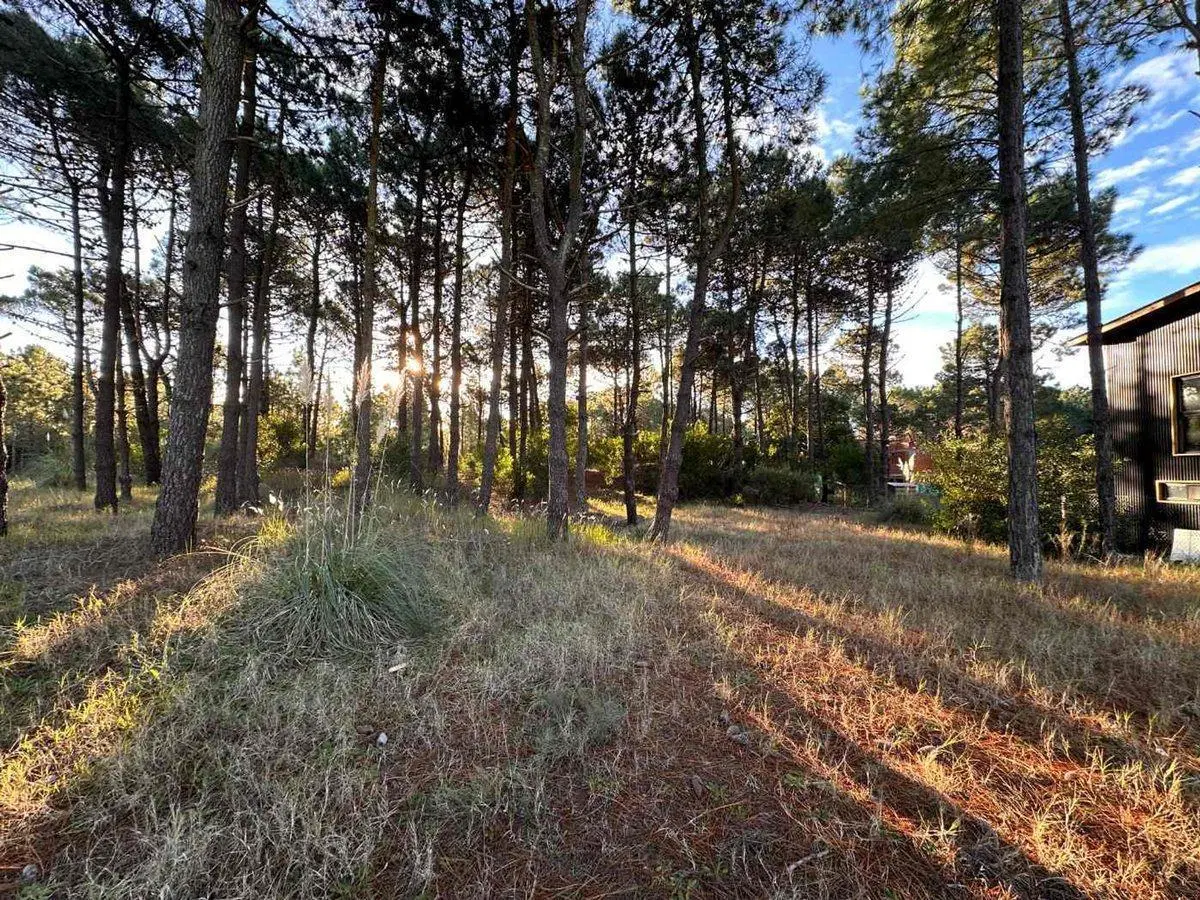 VENTA LOTE PINAMAR NORTE 2