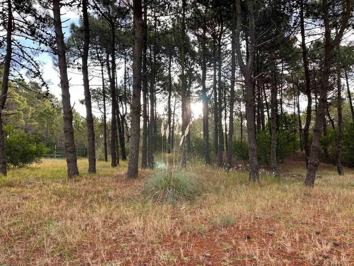 VENTA LOTE PINAMAR NORTE 3