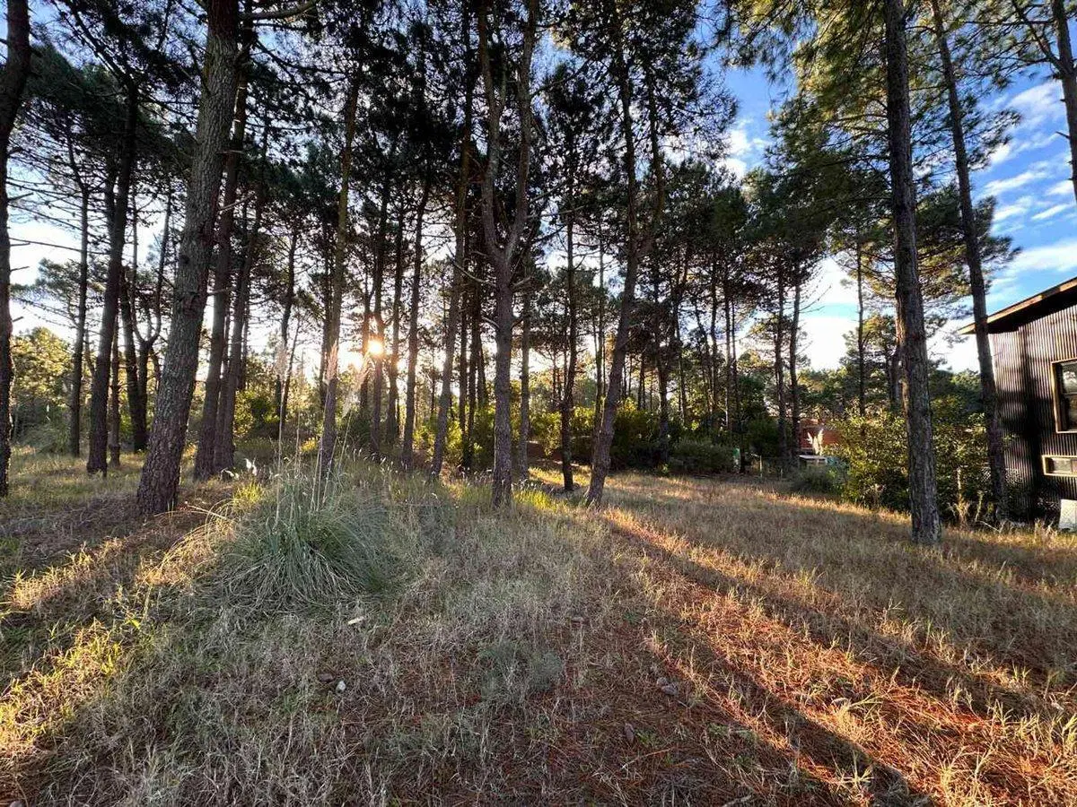 VENTA LOTE PINAMAR NORTE 5