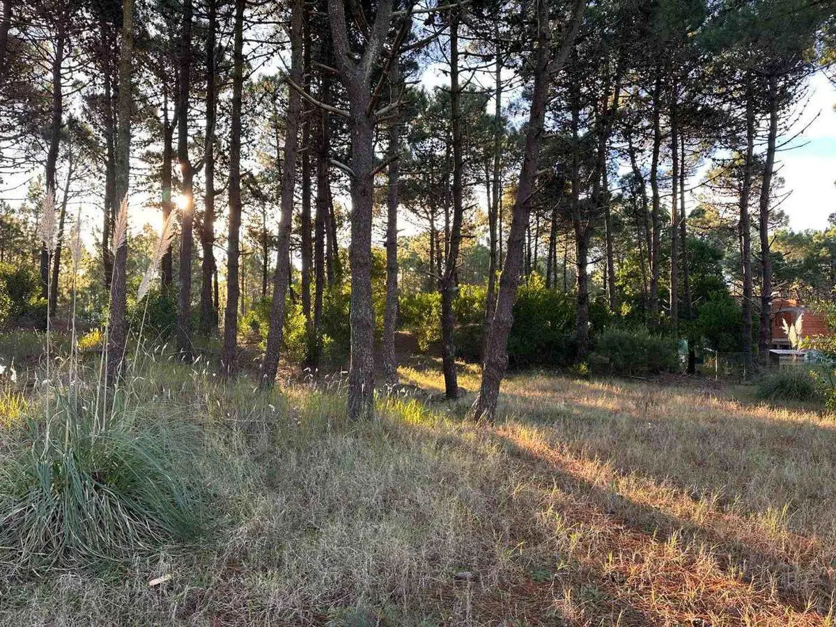 VENTA LOTE PINAMAR NORTE 4