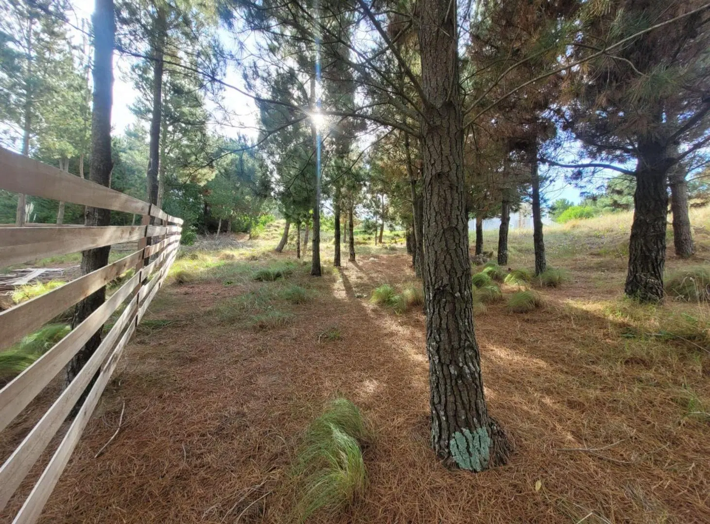 Venta Lote Costa Esmeralda 3