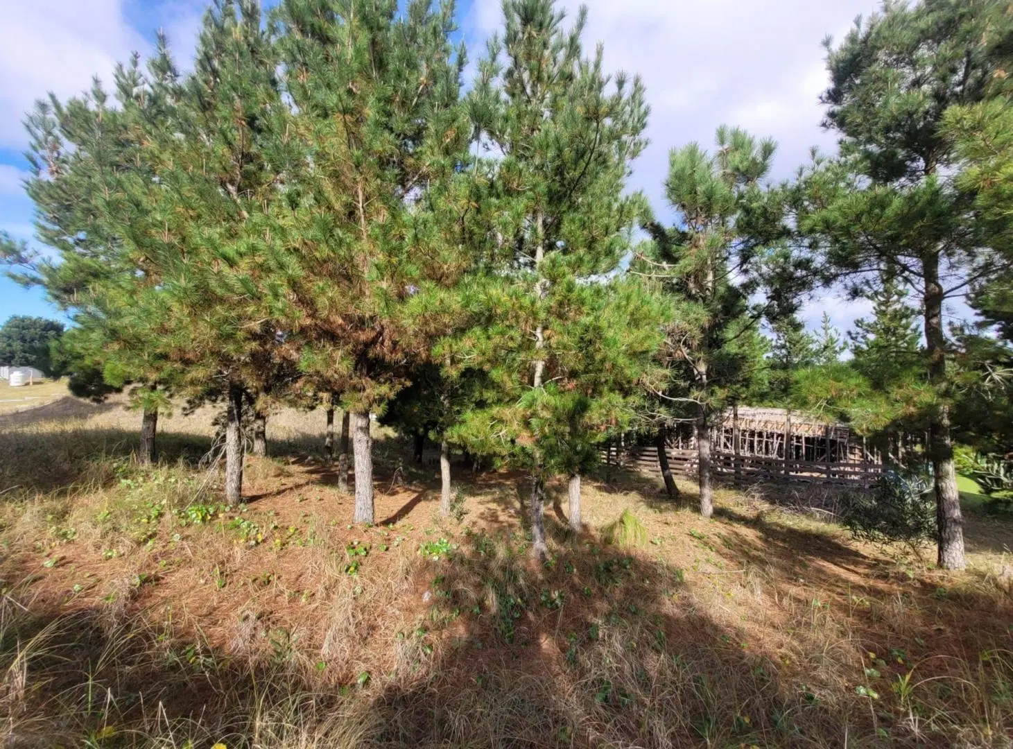 Venta Lote Costa Esmeralda 8