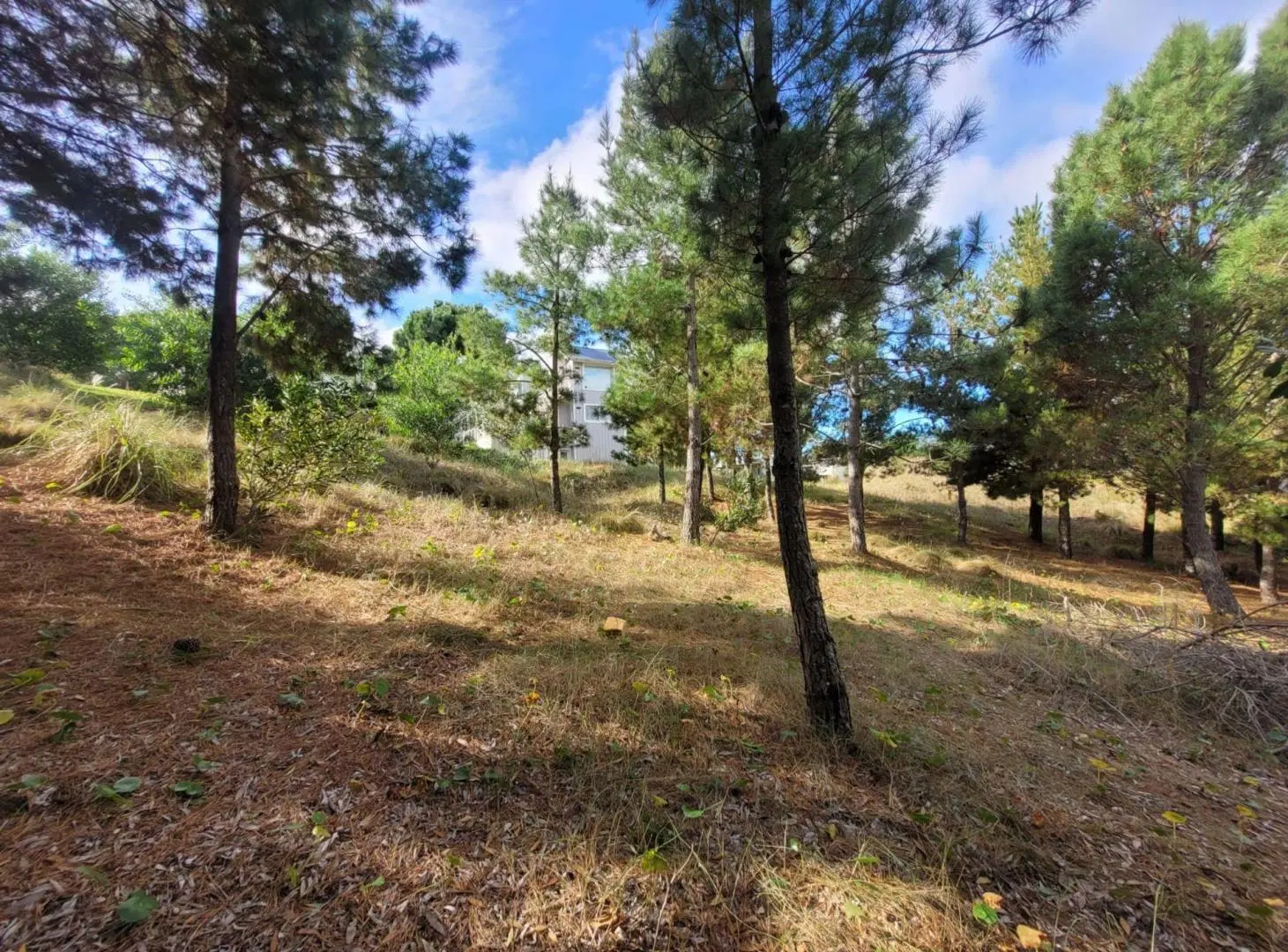 Venta Lote Costa Esmeralda 4
