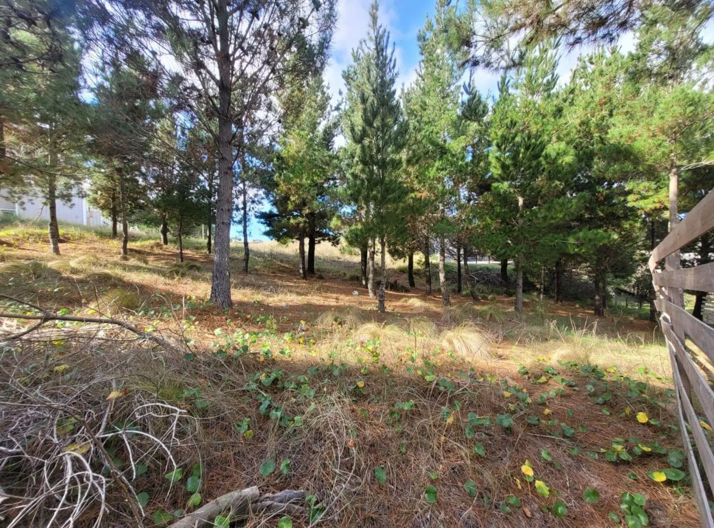 Venta Lote Costa Esmeralda 2
