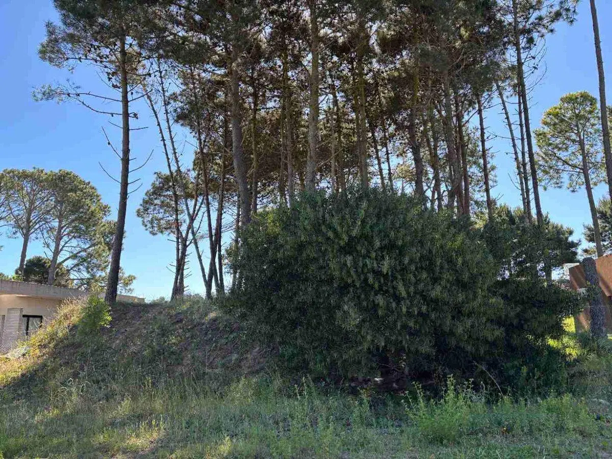 LOTE EN VENTA PINAMAR BARRIO NAYADES EN ALTURA 4