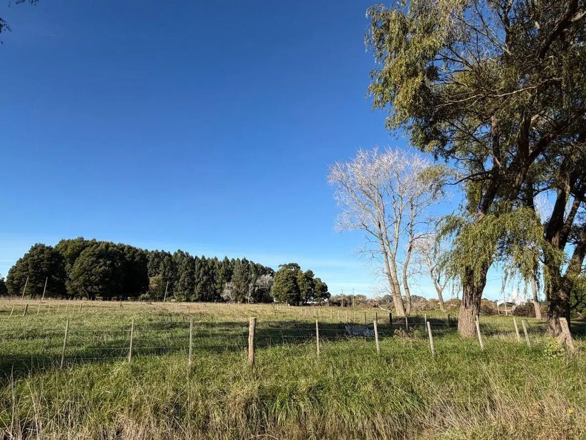 Terreno/Lote  en venta General Madariaga 3