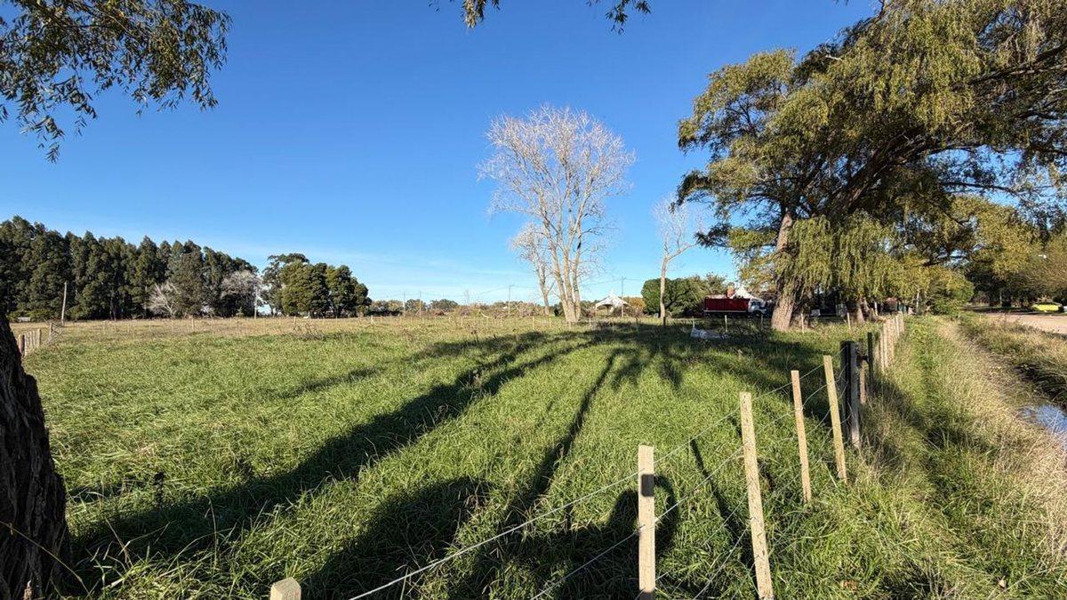 Terreno/Lote en venta General Madariaga