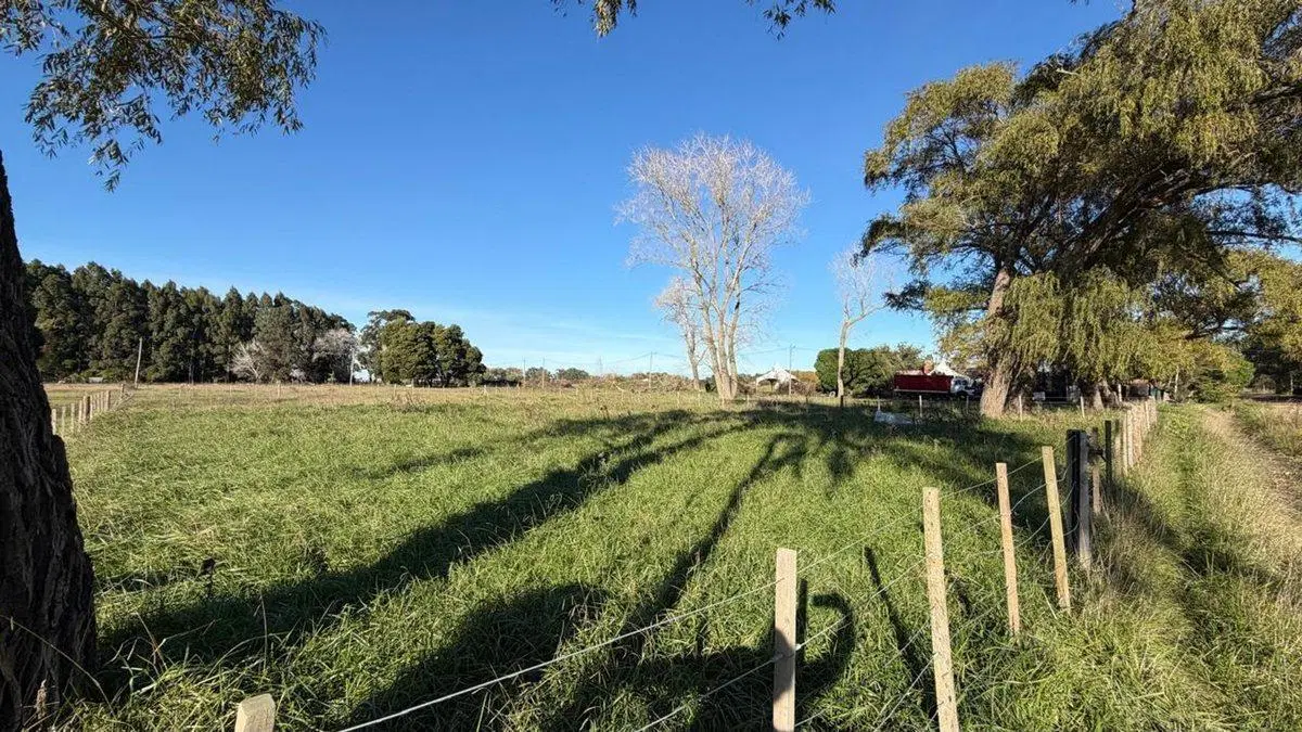 Terreno/Lote  en venta General Madariaga 2