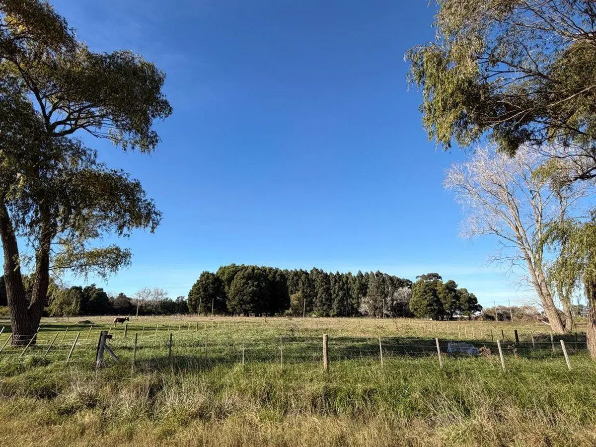 Terreno/Lote  en venta General Madariaga 5