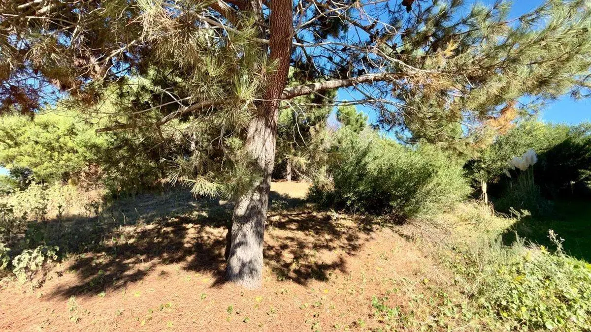 Lote en venta Senderos III Costa Esmeralda 8