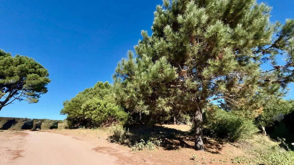 Lote en venta Senderos III Costa Esmeralda 5
