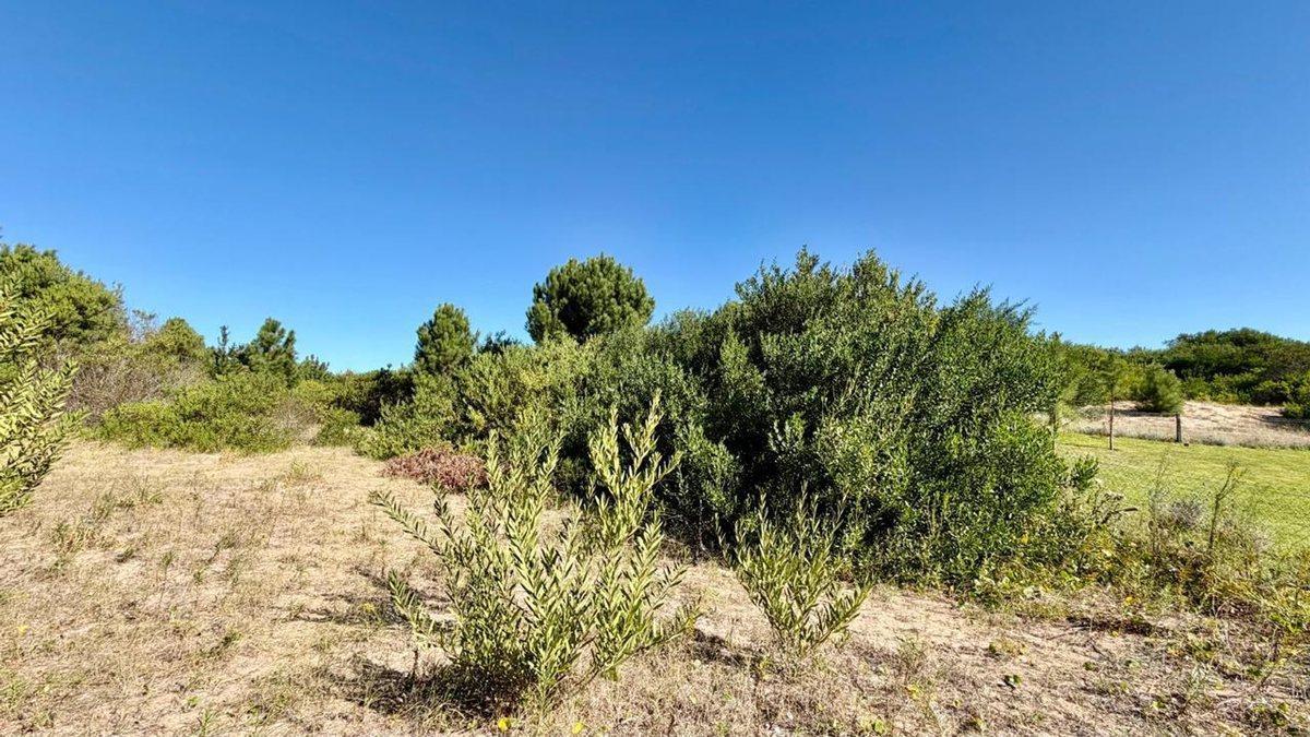 Lote en venta Senderos III Costa Esmeralda