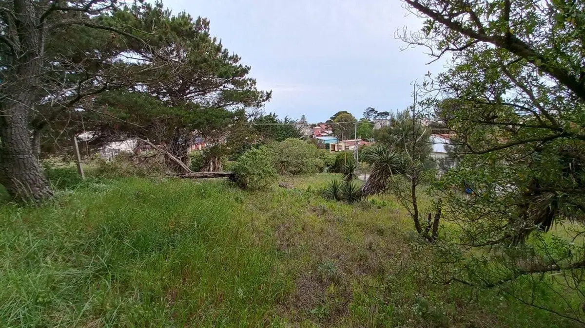 EXCELENTE LOTE A LA VENTA EN MAR DE OSTENDE 3
