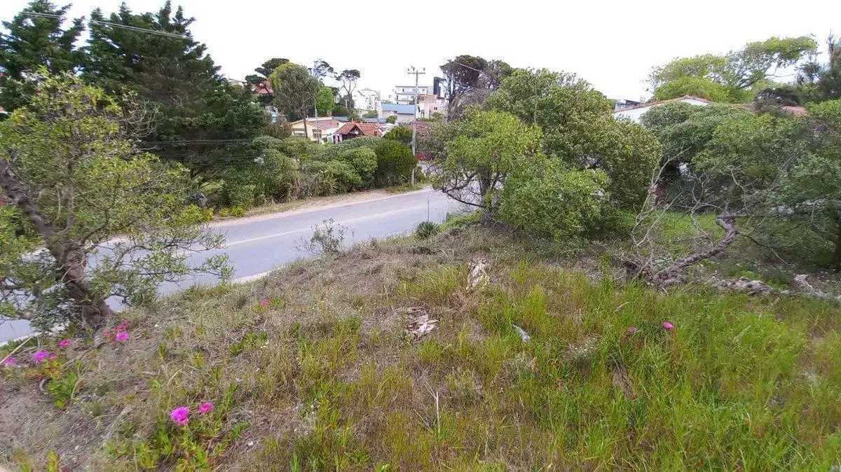 EXCELENTE LOTE A LA VENTA EN MAR DE OSTENDE 4