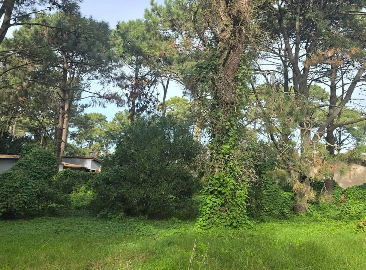 VENTA LOTE RESIDENCIAL UNIFAMILIAR OSTENDE 3