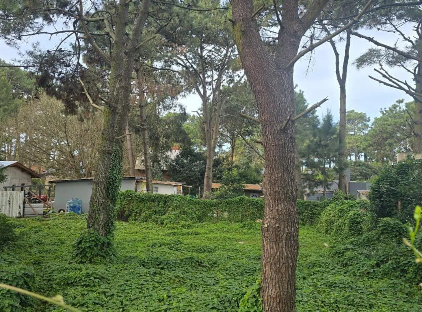 VENTA LOTE RESIDENCIAL UNIFAMILIAR OSTENDE 2