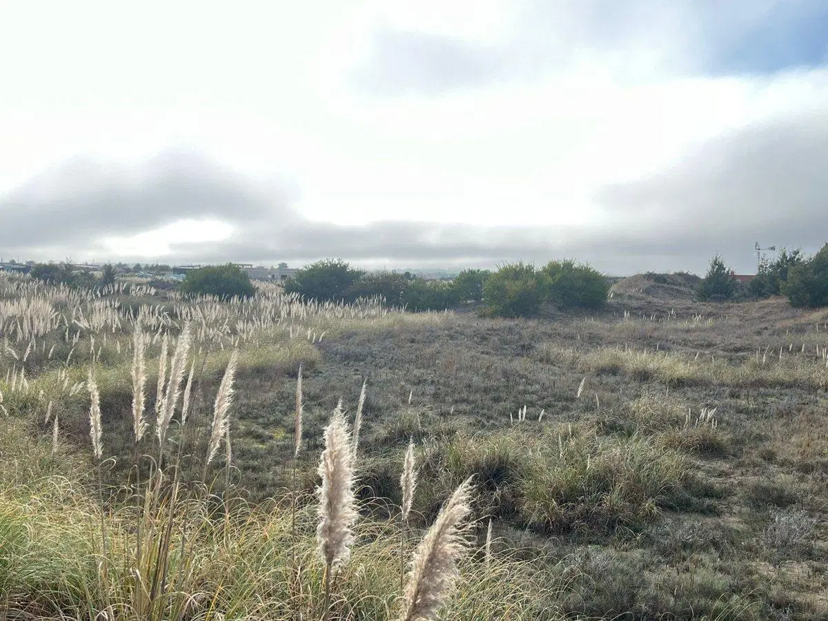 LOTE EN VENTA EN VILLA GESELL- EL SALVAJE 5