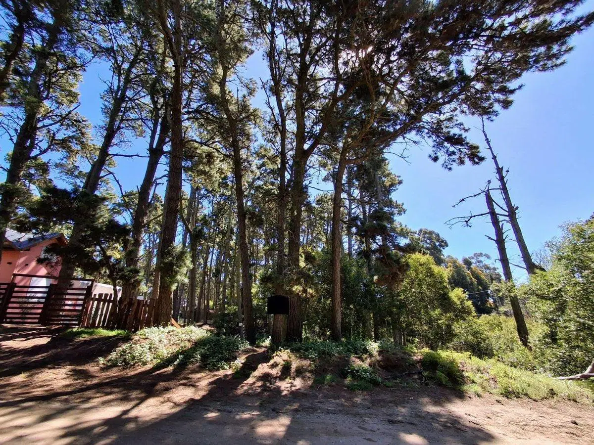 Lote Mar Azul en Calle Miramar entre 36 y 37 4
