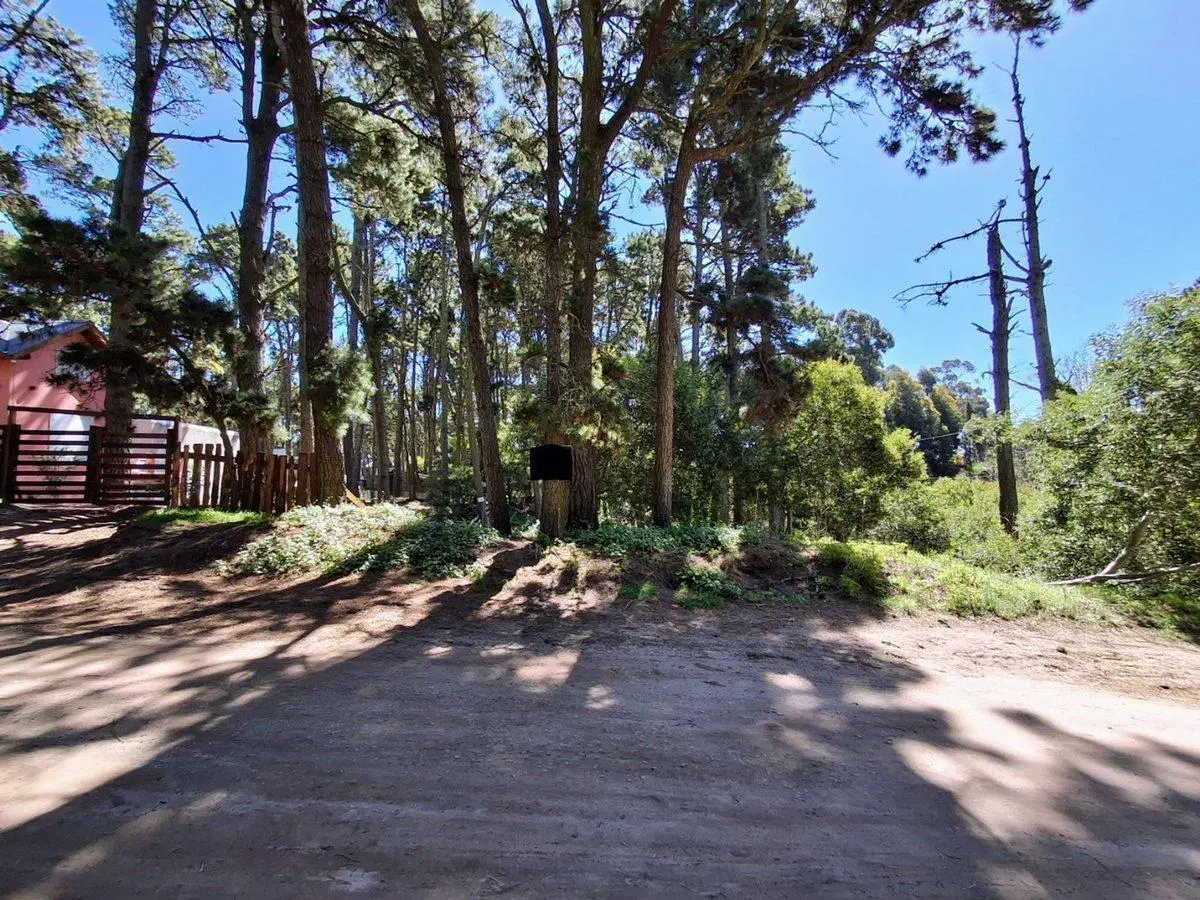 Lote Mar Azul en Calle Miramar entre 36 y 37 3