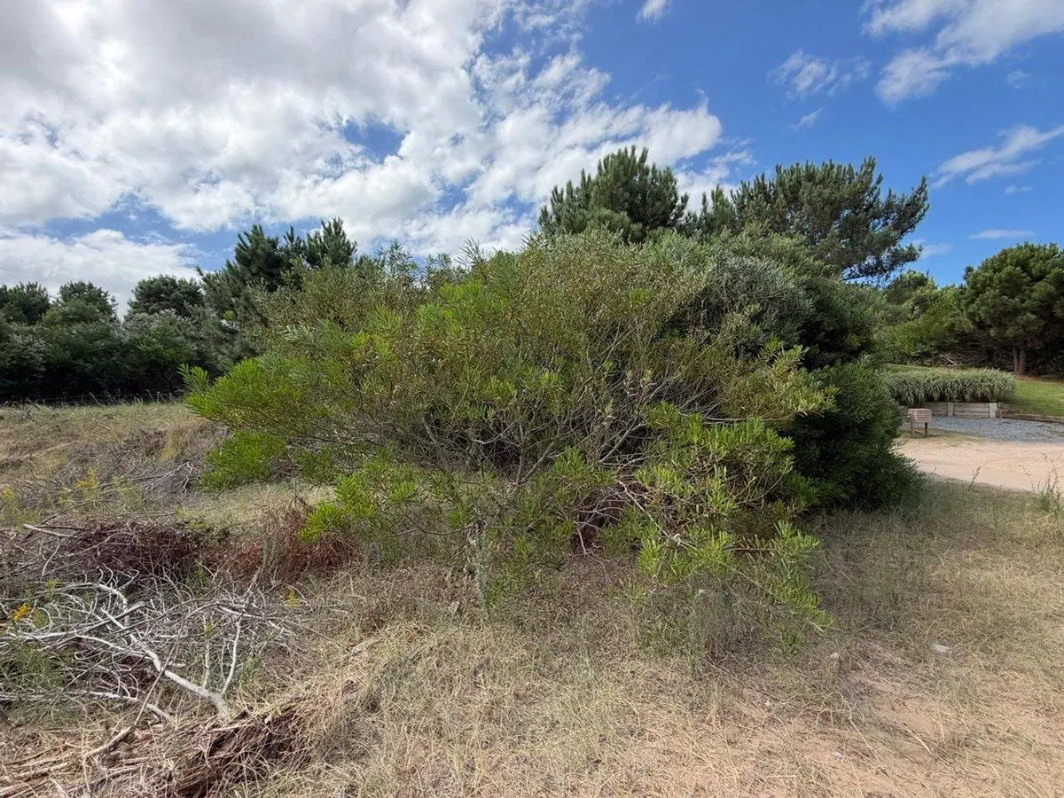 VENTA LOTE COSTA ESMERALDA BARRIO ECUESTRE 5