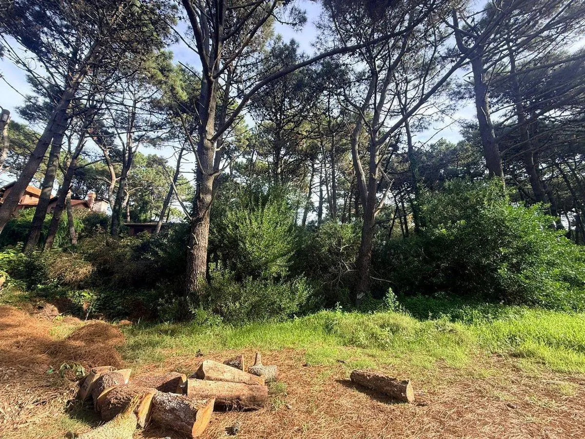 Lote en Venta PINAMAR NORTE 2