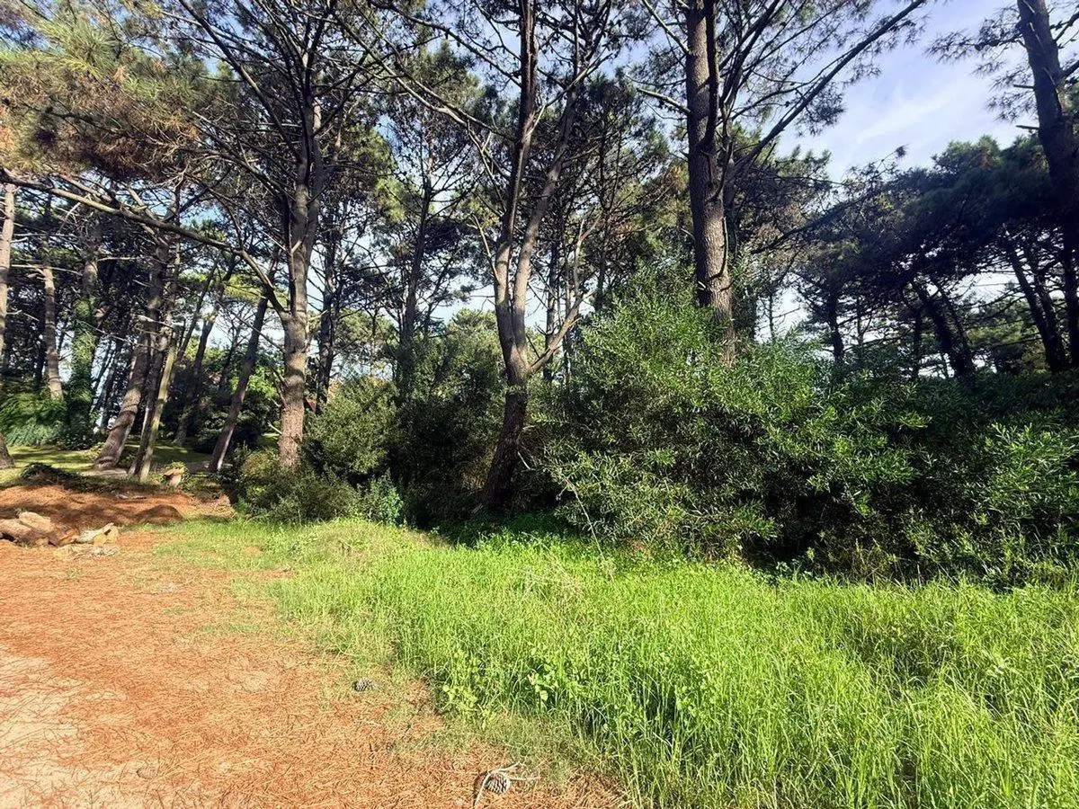 Lote en Venta PINAMAR NORTE 4