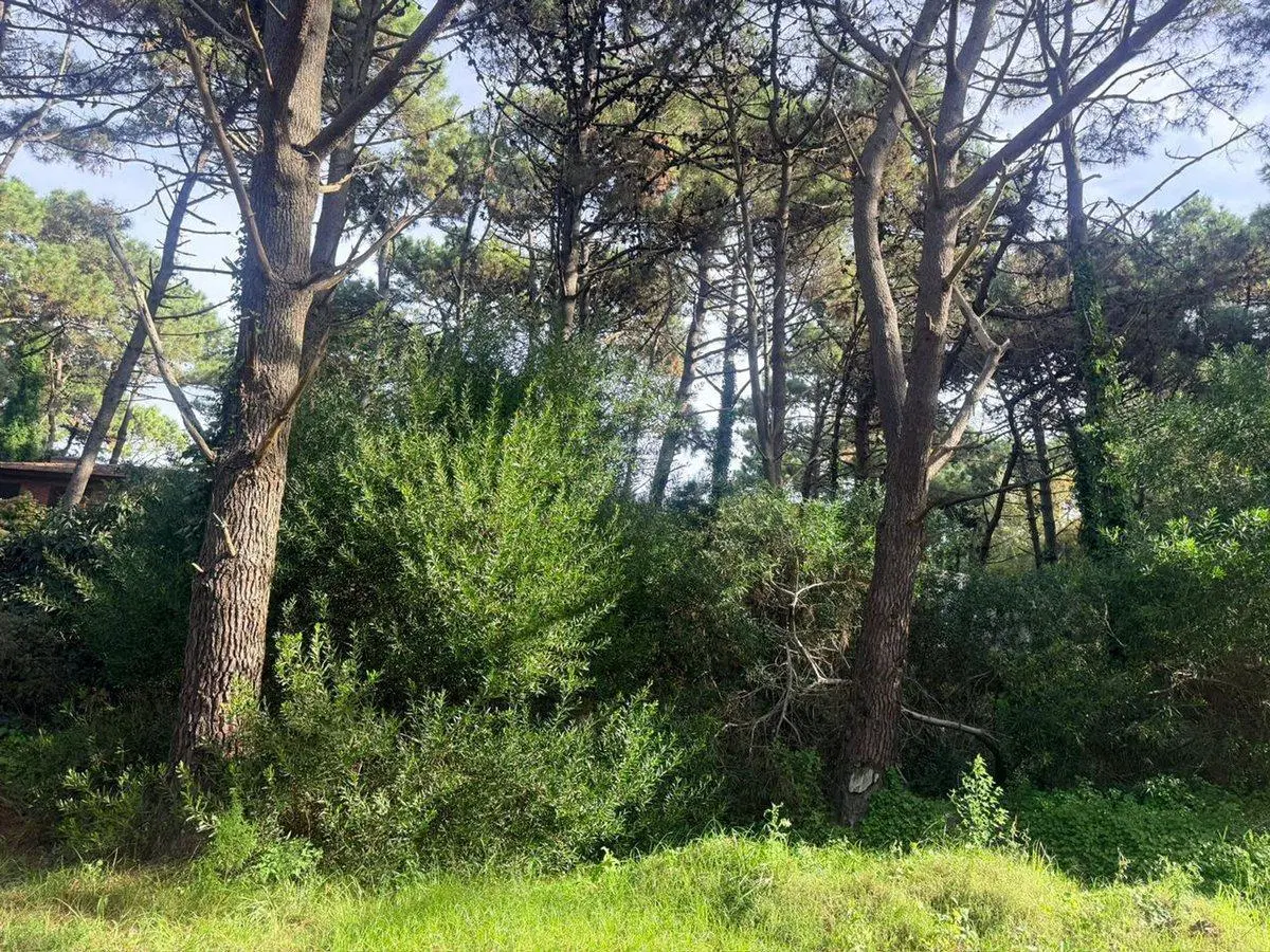 Lote en Venta PINAMAR NORTE 8