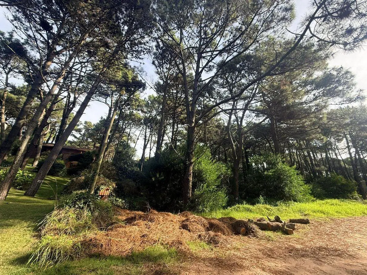 Lote en Venta PINAMAR NORTE 3