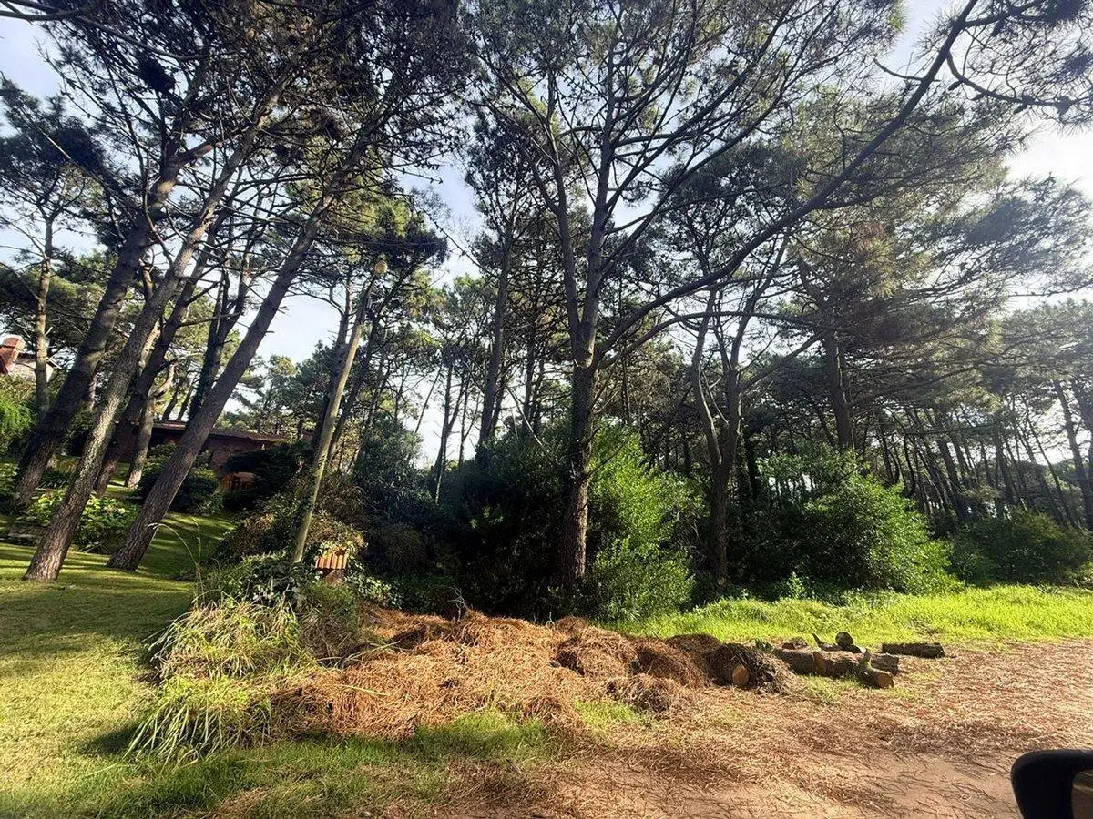 Lote en Venta PINAMAR NORTE 5