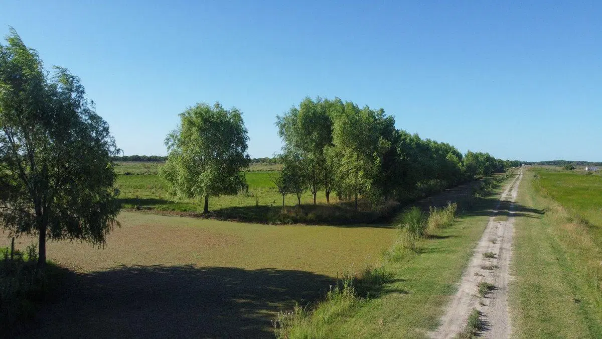 VENTA LOTE COMERCIAL LA MANSA GENERAL MADARIAGA 2
