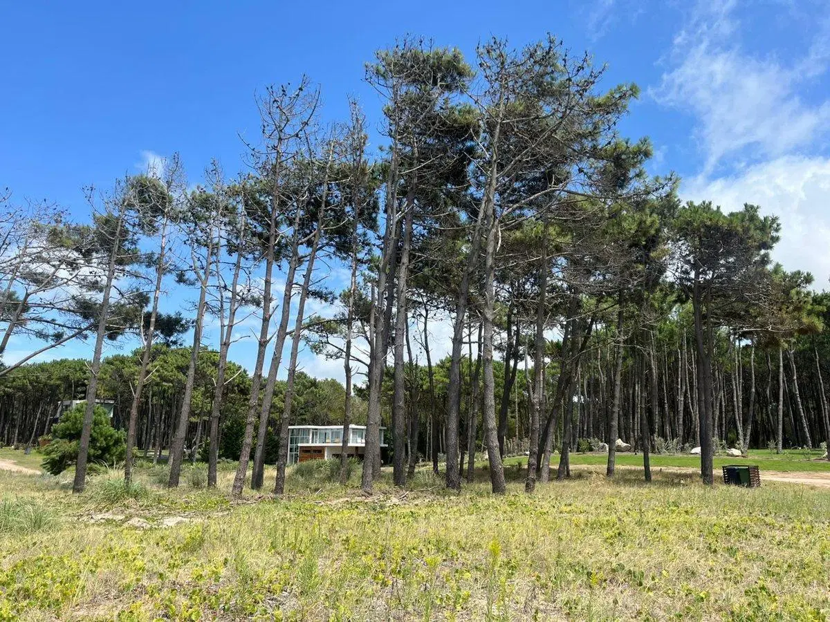 VENTA LOTE VILLA ROBLES SEGUNDA LINEA DEL MAR 2