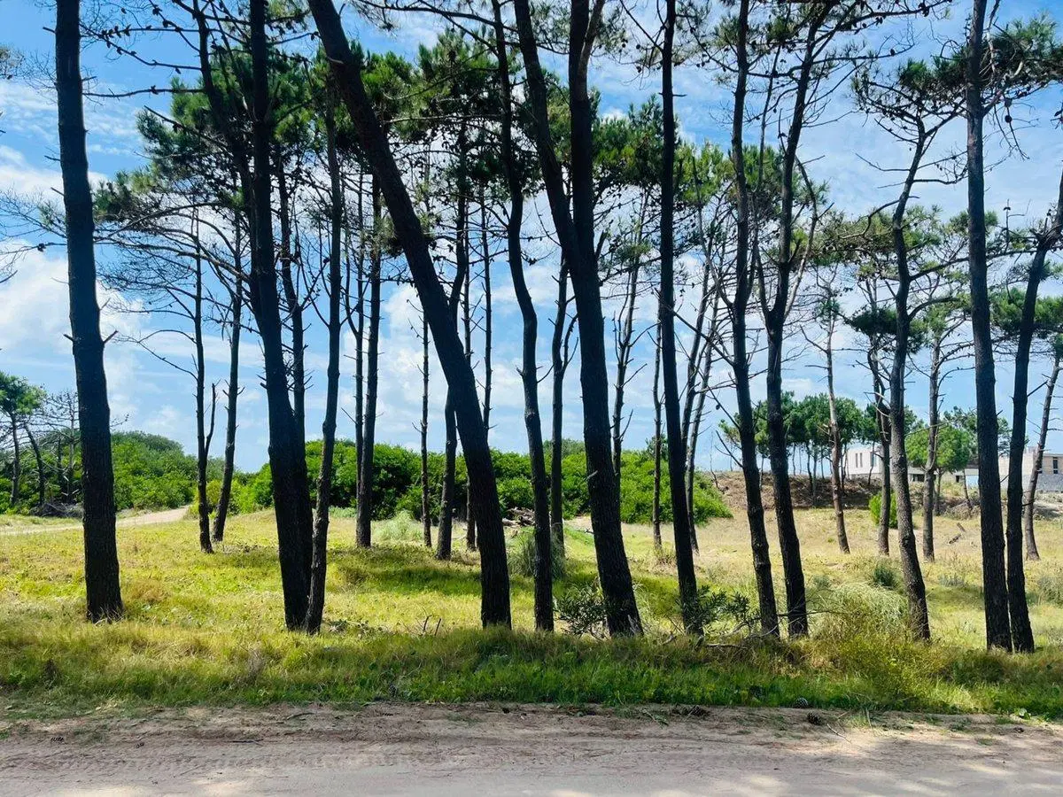 VENTA LOTE VILLA ROBLES SEGUNDA LINEA DEL MAR 5
