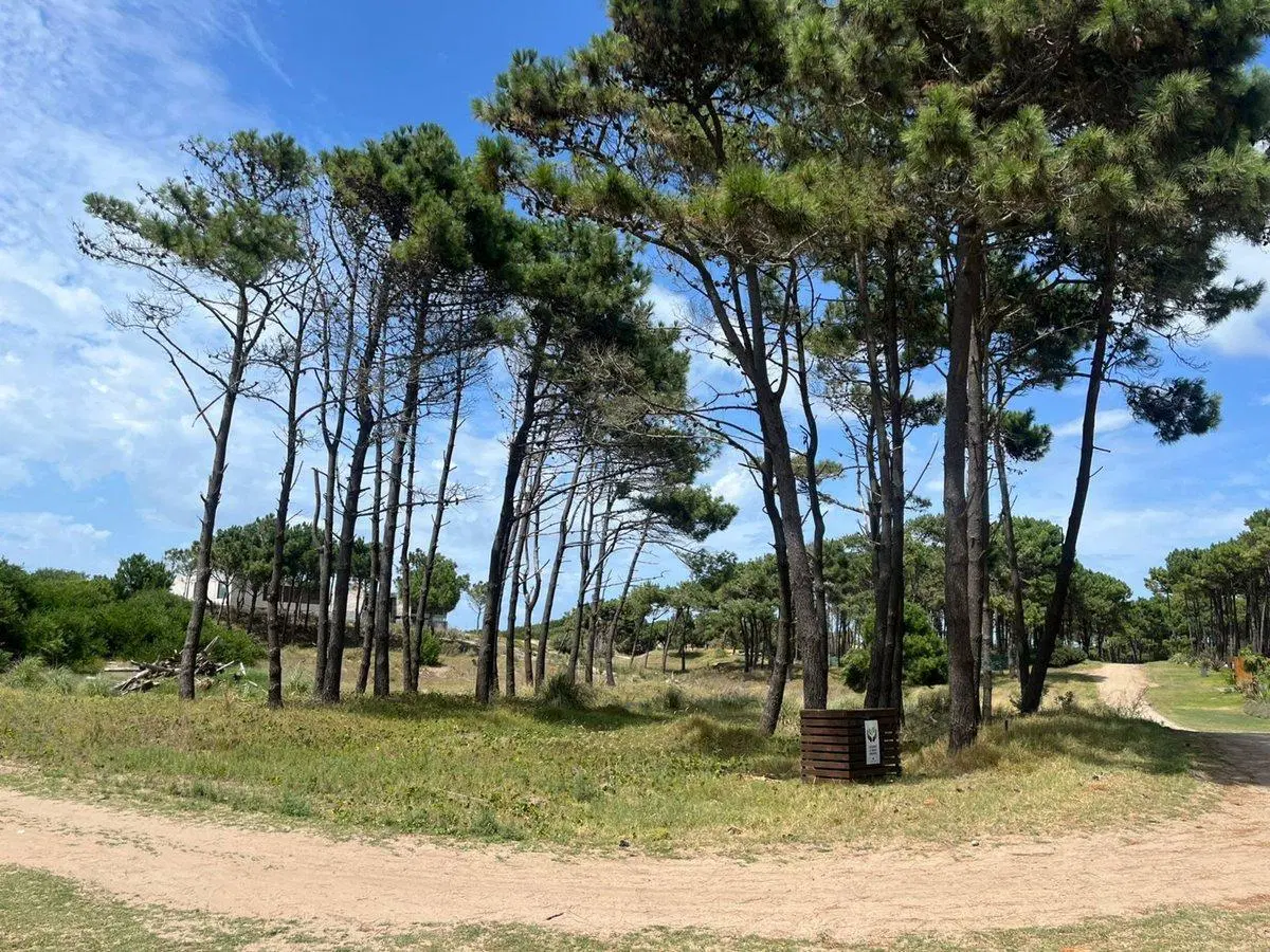 VENTA LOTE VILLA ROBLES SEGUNDA LINEA DEL MAR 3