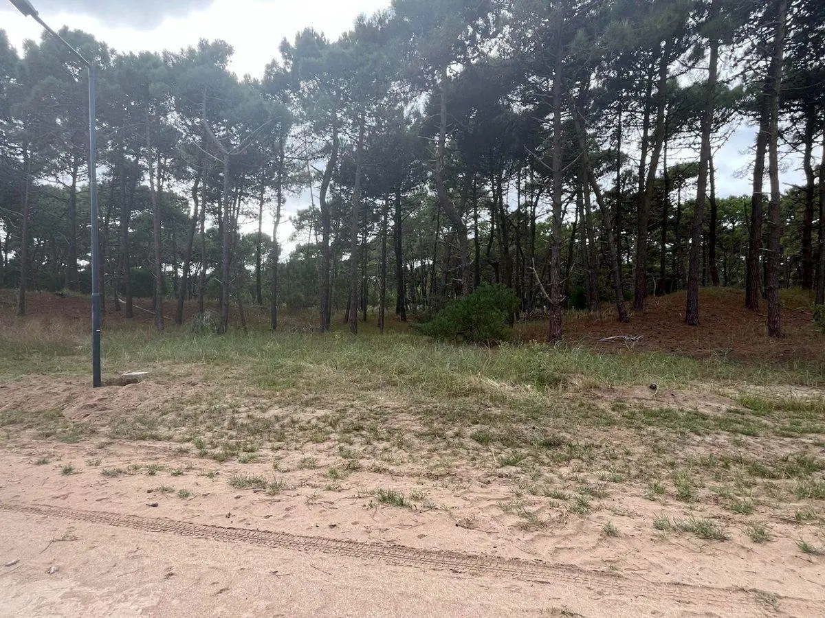 VENTA DE LOTE EN PINAMAR. BARRIO BOSQUES ETAPA 1 5
