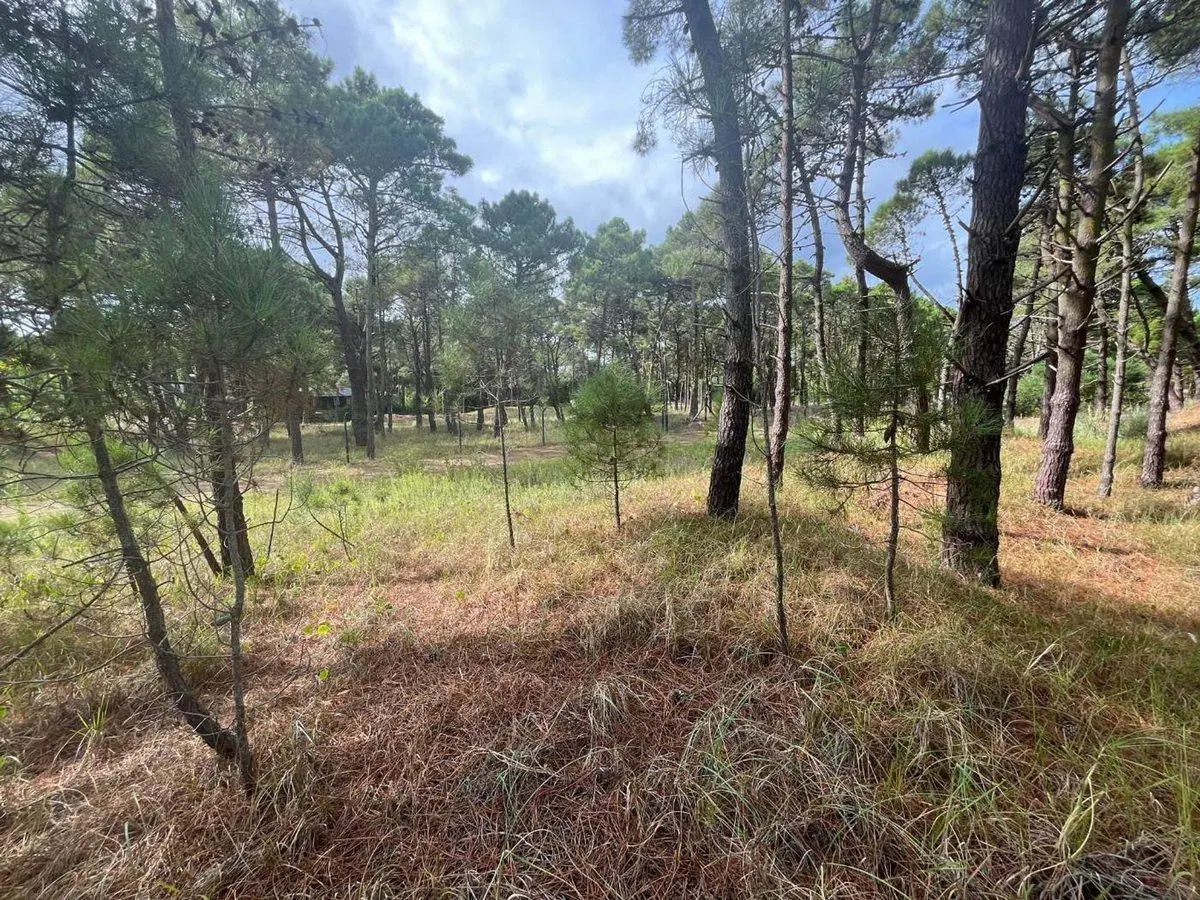 VENTA DE LOTE EN PINAMAR. BARRIO BOSQUES ETAPA 1 2