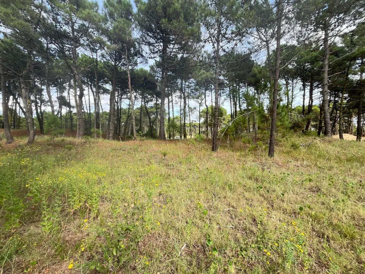 VENTA DE LOTE EN PINAMAR. BARRIO BOSQUES ETAPA 1 4