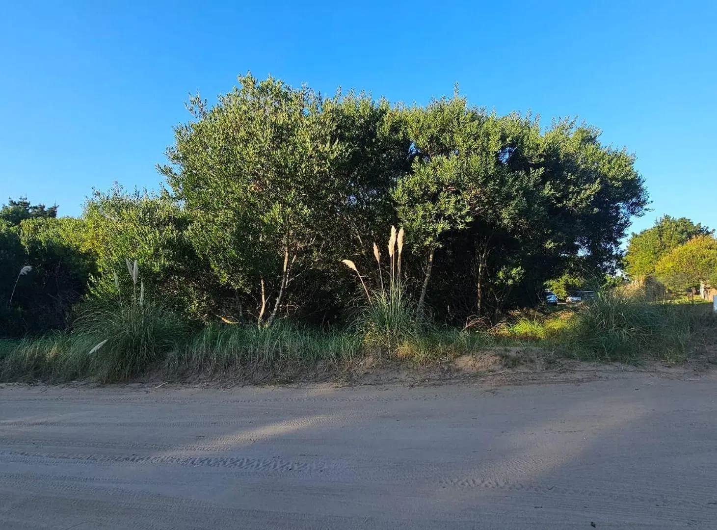 LOTE  EN VENTA RESIDENCIAL I COSTA ESMERALDA 2