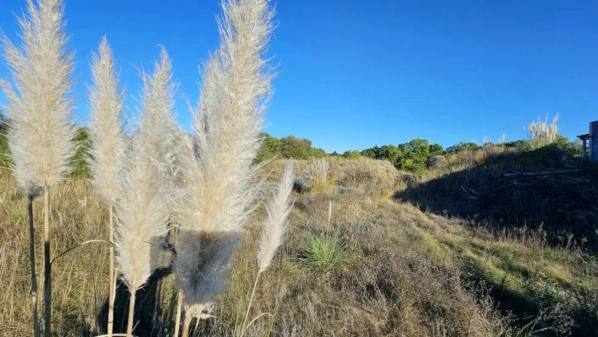 VENTA LOTE COSTA ESMERALDA GOLF Fondo Libre 4