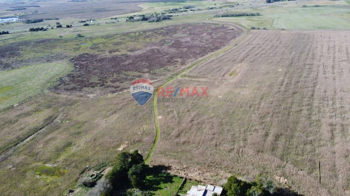 CAMPO VENTA 32 HECTAREAS EN GENERAL MADARIAGA 5