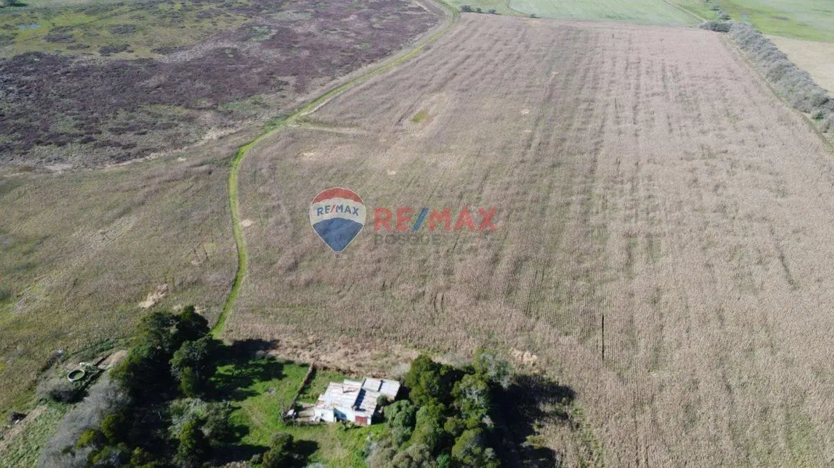 CAMPO VENTA 32 HECTAREAS EN GENERAL MADARIAGA 3