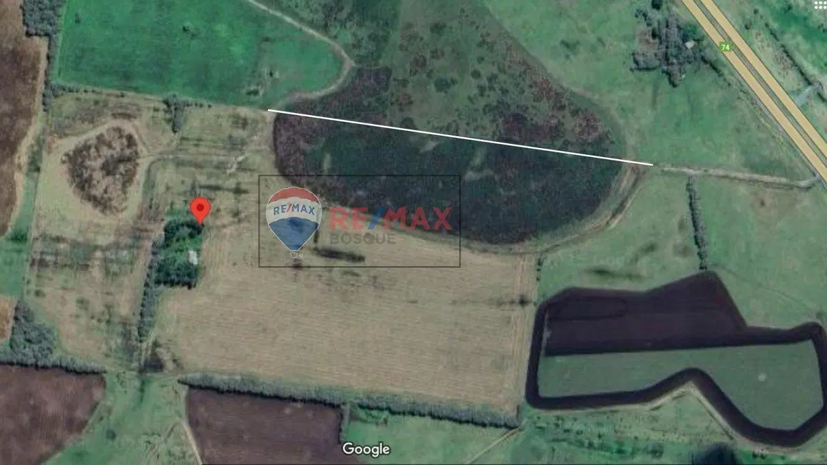 CAMPO VENTA 32 HECTAREAS EN GENERAL MADARIAGA 2