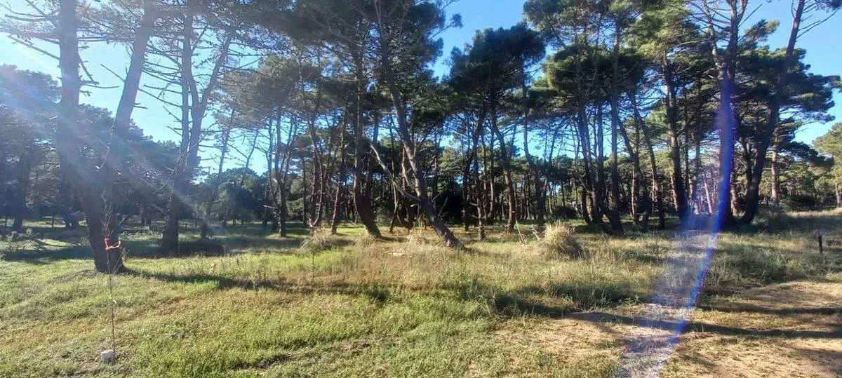Excelente Lote - Barrio Bosques, Pinamar 2