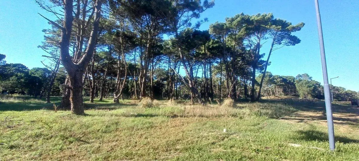 Excelente Lote - Barrio Bosques, Pinamar 3